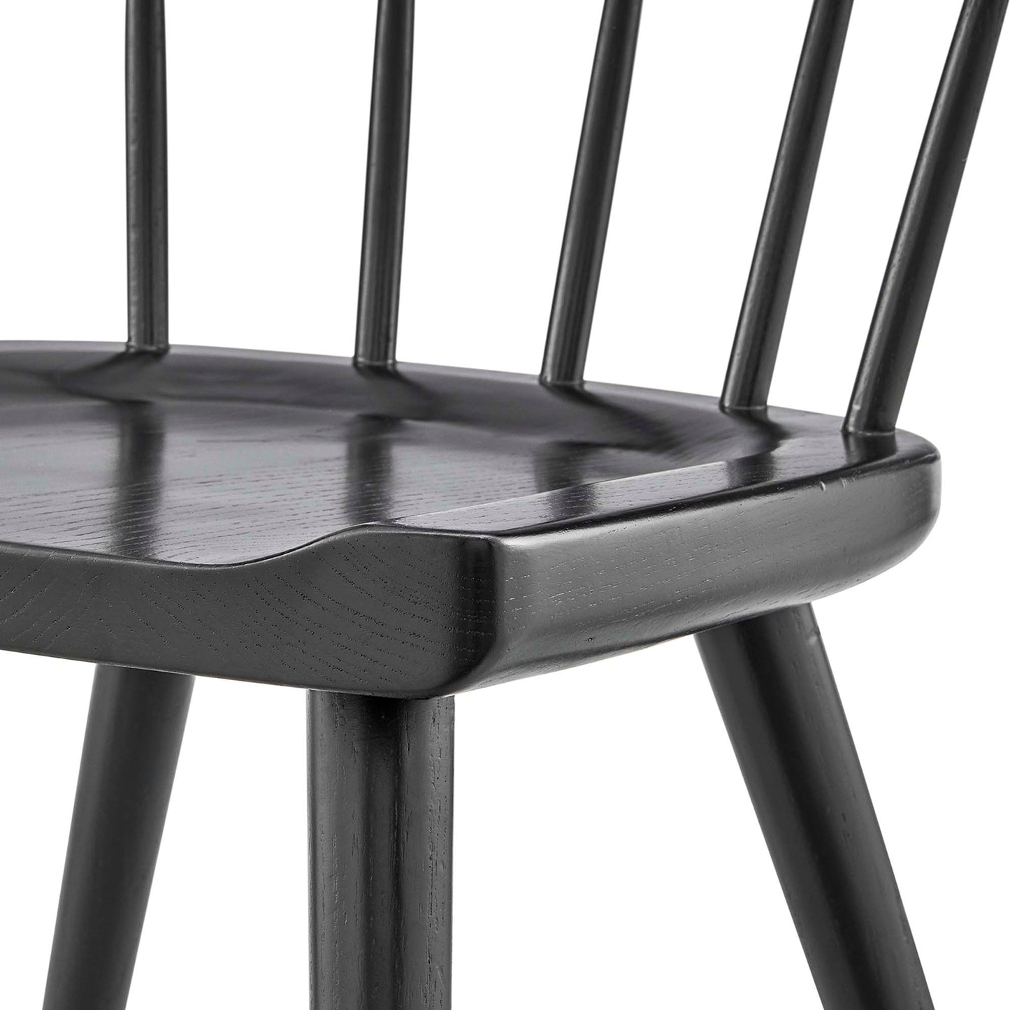 Wisteria Wood Dining Side Chair Set of 2 in Black