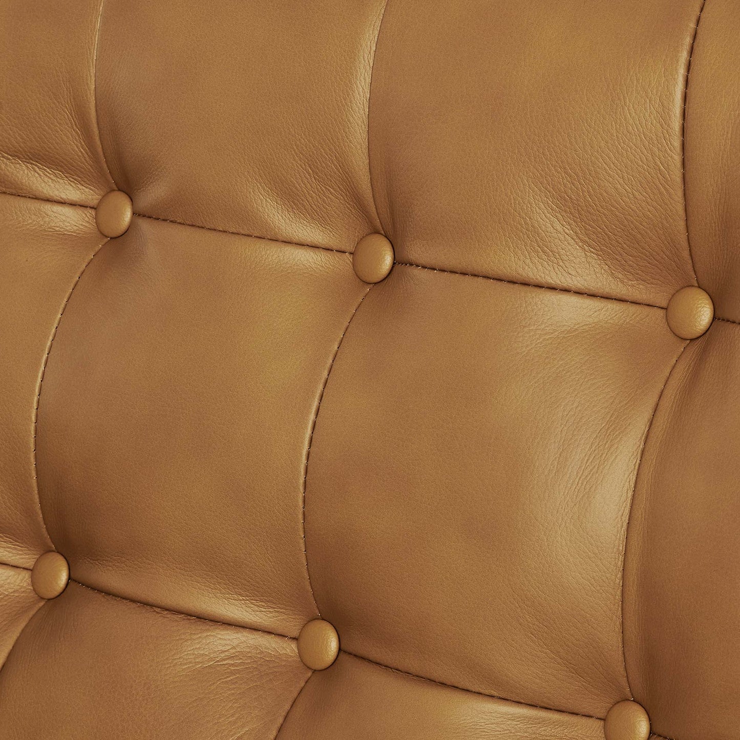 Nerissa Tufted Leather Loveseat in Tan