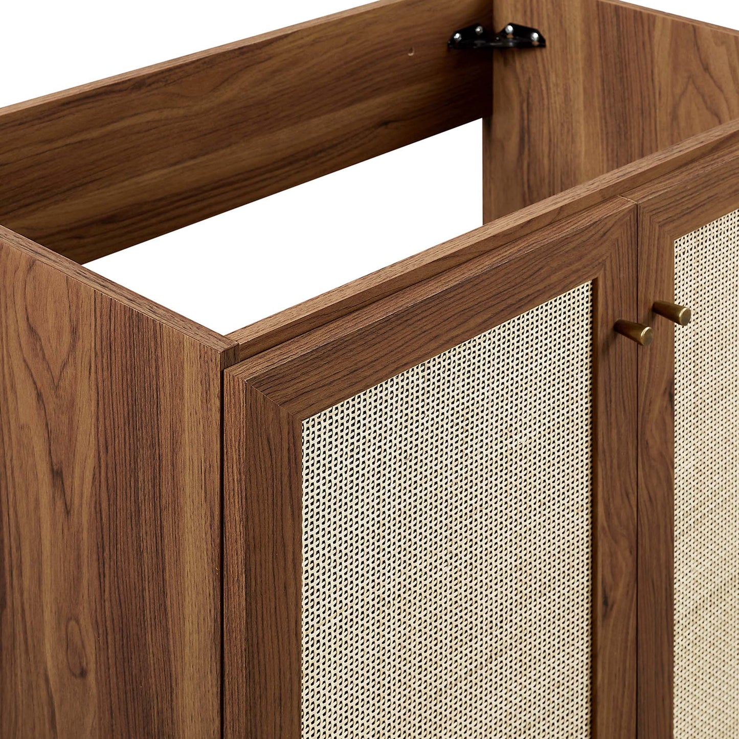 Wren 30" Bathroom Vanity Cabinet (Sink Basin Not Included) in Walnut