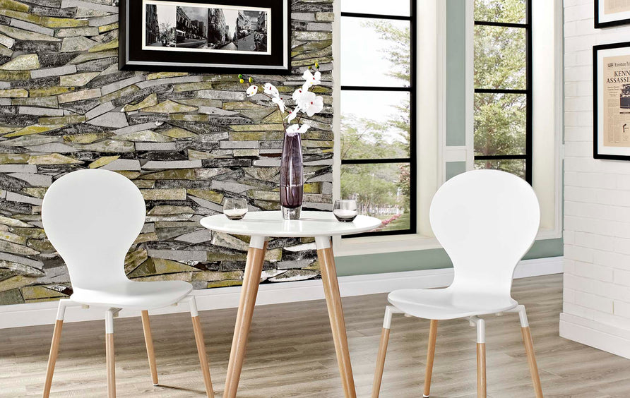 Cholla Dining Chair Set of 2 in White