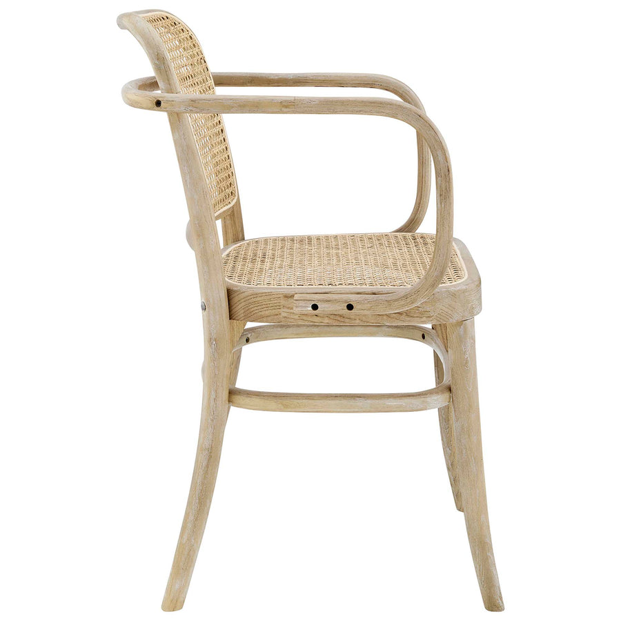 Malvasia Wood Dining Chair in Gray