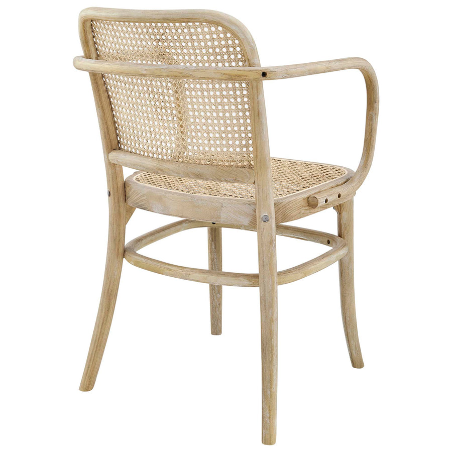 Malvasia Wood Dining Chair in Gray