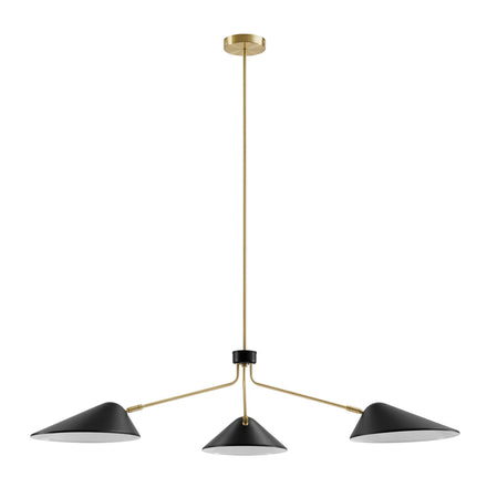 Journey 3-Light 14" Arm Pendant in Black