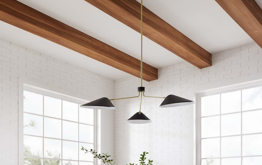 Stella 3-Light 14" Arm Pendant in Black