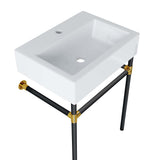 Gaia 24" Wall-Mount Black Stainless Steel Bathroom Vanity in Black White