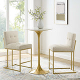 Indigo Upholstered Fabric Counter Stool Set of 2 in Gold Beige