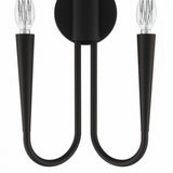 Stryn 2-Light Wall Sconce in Black