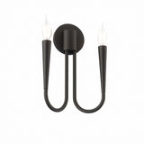 Stryn 2-Light Wall Sconce in Black