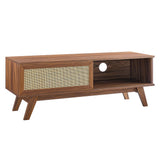 Wren 47" TV Stand in Walnut