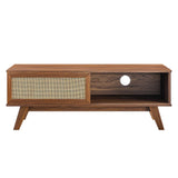 Wren 47" TV Stand in Walnut