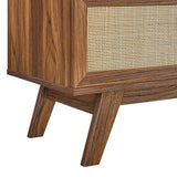 Wren 47" TV Stand in Walnut