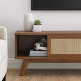 Wren 47" TV Stand in Walnut