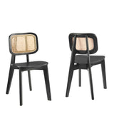Lucian Wood Dining Side Chair Set of 2 in Black