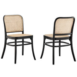 Malvasia Wood Dining Side Chair Set of 2 in Black
