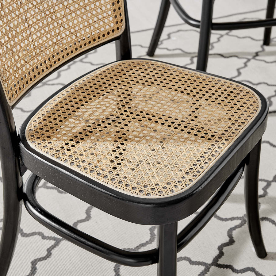 Malvasia Wood Dining Side Chair Set of 2 in Black