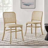 Malvasia Wood Dining Side Chair Set of 2 in Gray