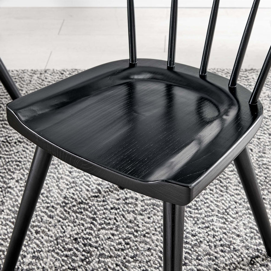 Wisteria Wood Dining Side Chair Set of 2 in Black