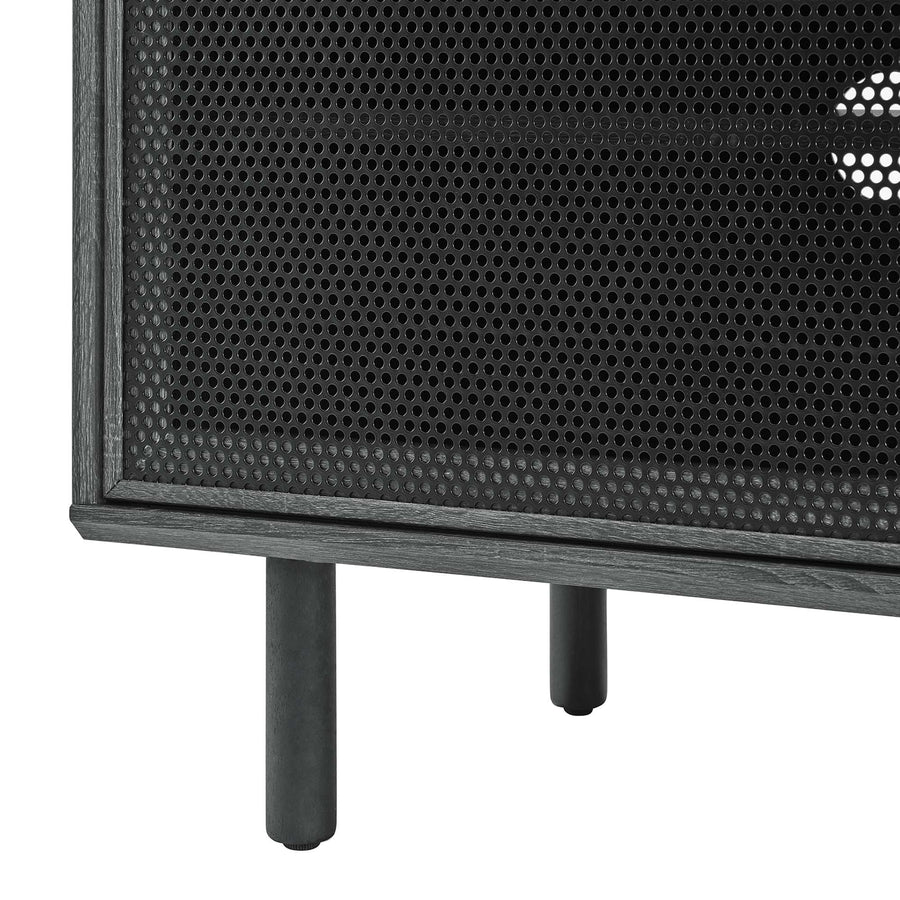 Polaris 67" TV and Vinyl Record Stand in Charcoal