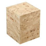 Gable 16" Square Burl Wood Side Table in Natural Burl