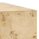 Gable 16" Square Burl Wood Side Table in Natural Burl