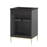 Briar 24" Bathroom Vanity in Black Black