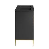 Briar 48" Double Sink Bathroom Vanity in Black Black