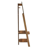 Katriel Standing Mirror in Walnut