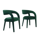 Iris Performance Velvet Dining Chair Set of 2 in Green