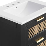 Tobin 24" Solid Wood Bathroom Vanity in Black White