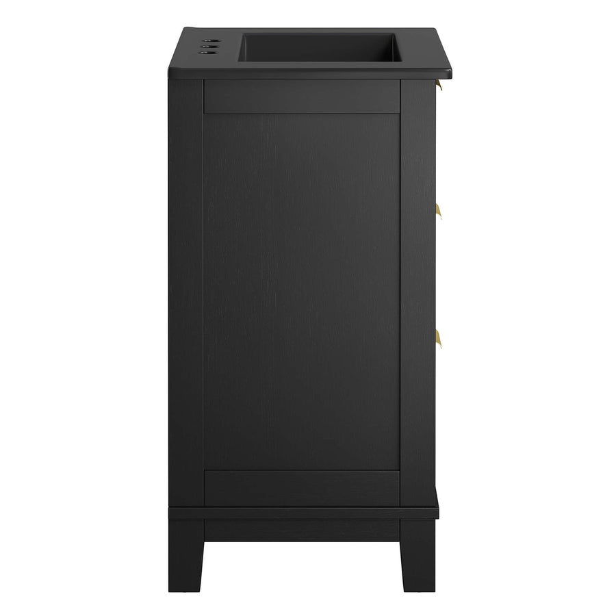 Tobin 24" Solid Wood Bathroom Vanity Cabinet in Black Black