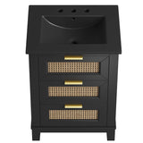 Tobin 24" Solid Wood Bathroom Vanity Cabinet in Black Black