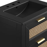 Tobin 24" Solid Wood Bathroom Vanity Cabinet in Black Black