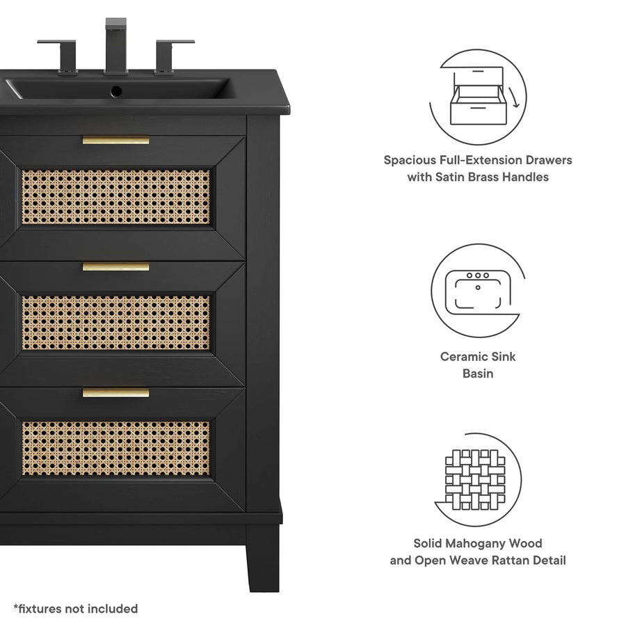 Tobin 24" Solid Wood Bathroom Vanity Cabinet in Black Black