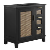 Tobin 36" Solid Wood Bathroom Vanity Cabinet in Black Black