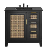 Tobin 36" Solid Wood Bathroom Vanity Cabinet in Black Black