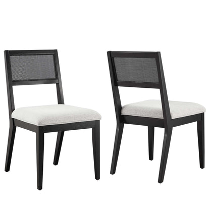 Nimba Faux Rattan Fabric Dining Chairs Set of 2 by Furniture For America