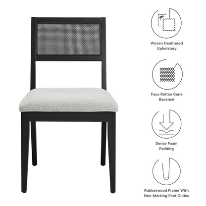Nimba Faux Rattan Fabric Dining Chairs Set of 2 by Furniture For America