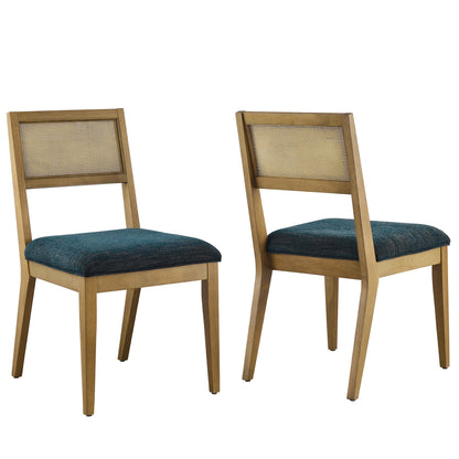 Nimba Faux Rattan Fabric Dining Chairs Set of 2 by Furniture For America