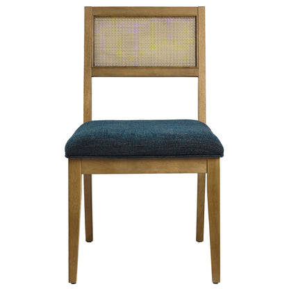 Nimba Faux Rattan Fabric Dining Chairs Set of 2 by Furniture For America