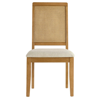 Arlo Faux Rattan and Wood Dining Side Chairs Set of 2 by Furniture For America