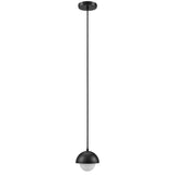 Arlo Globe Pendant Light in Black