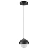 Arlo Globe Pendant Light in Black