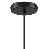 Arlo Globe Pendant Light in Black