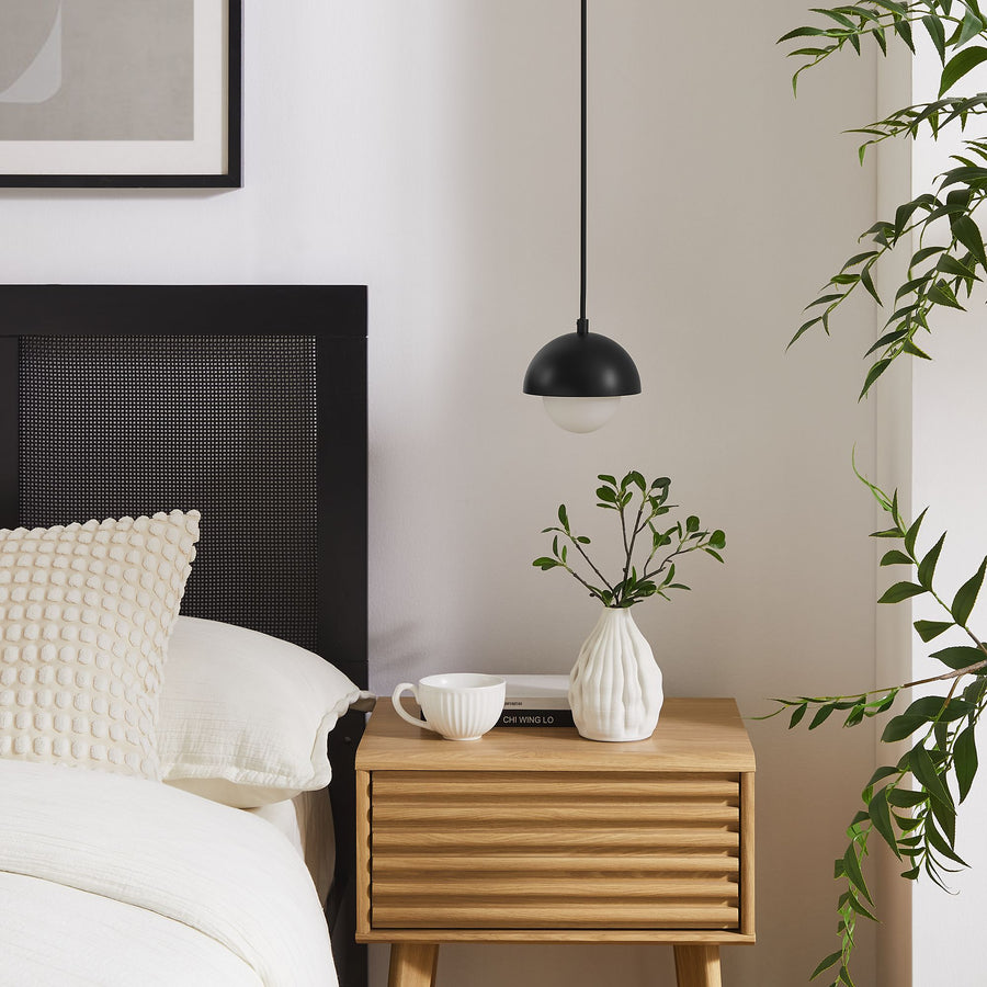 Arlo Globe Pendant Light in Black