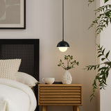 Arlo Globe Pendant Light in Black