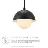 Arlo Globe Pendant Light in Black