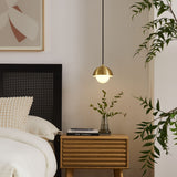Arlo Globe Pendant Light in Brass