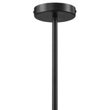 Orchard Squiggle 2-Arm Pendant Light in Black
