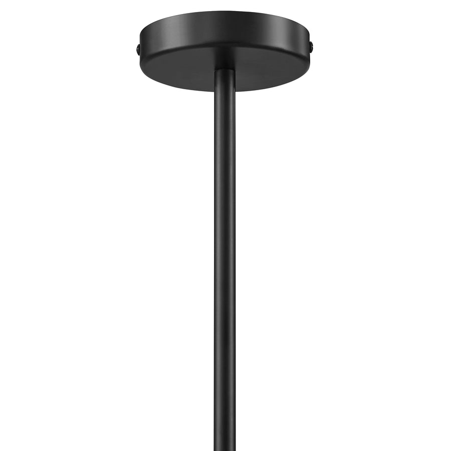 Orchard Squiggle 4-Arm Pendant Light in Black