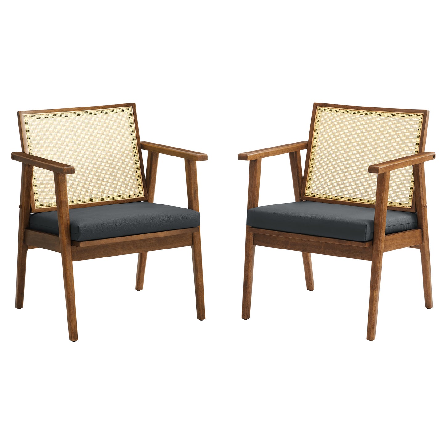 Thera Vegan Leather and Cane Accent Armchairs Set of 2 by Furniture For America
